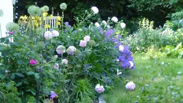 P1400330.webp