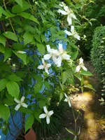 IMG_20230610_112928.webp