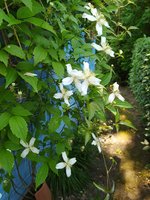 IMG_20230610_112928.jpg