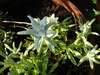 DSC02970.webp