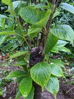 PXL_20230611_041122719.jpg