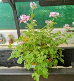 IMG_20230608_102603.jpg