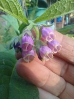 IMG_20230611_075703.jpg