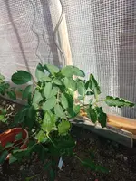20230611_081858.jpg