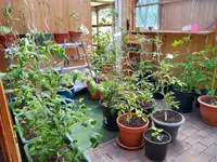 IMG_20220609_140106290_HDR.webp