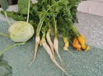 IMG_20230611_090827.webp
