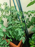 20230611_103207.webp