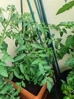 20230611_103207.jpg