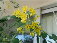 c041.webp