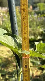 IMG_6161.jpeg