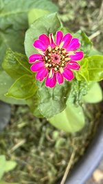 IMG_6158.jpeg