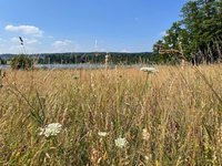 IMG_1163.jpeg