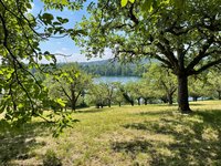 IMG_1164.jpeg