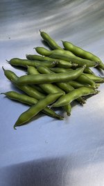 IMG_6165.jpeg