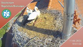 IMG_1168.jpeg