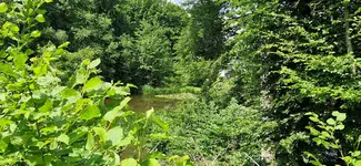 IMG-20230611-WA0008.webp