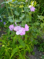 IMG_20230611_182255.jpg