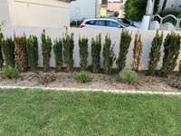 IMG_3509.jpeg