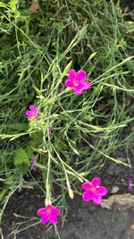 IMG_6174.jpeg