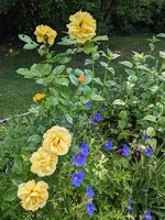 PXL_20230612_082013694.jpg