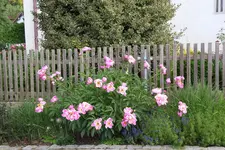 Pfarrhof 0223.webp