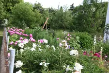 Pfarrhof 0423.webp