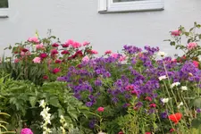 Pfarrhof 0723.webp