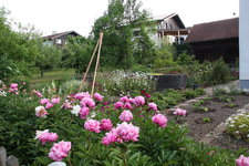 Pfarrhof 0823.JPG