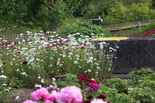 Pfarrhof 0923.JPG