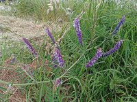 IMG_20230602_160142.jpg