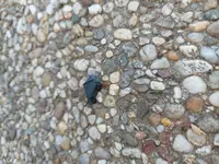 mini-20230527_183124.webp