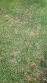 20230612_171145.webp