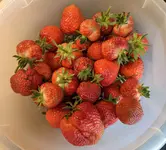 600 g.webp