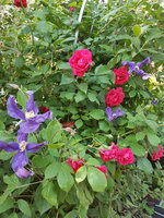 20230610_183947.jpg