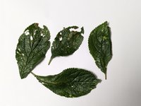 PXL_20230612_193238379.jpg