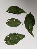 PXL_20230612_193300541.jpg