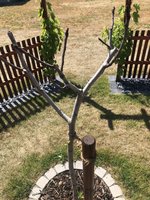 IMG_3330.jpeg