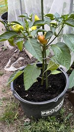 IMG_6187.jpeg