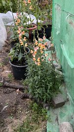 IMG_6188.jpeg