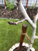 IMG_2471.jpeg