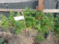 IMG_20230606_170556.jpg