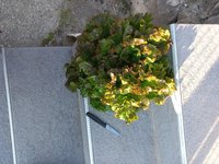 20230613_070334.jpg