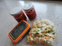 IMG_20230613_104602.jpg