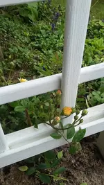 20190522_115223.webp