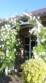 20230612_185841.webp