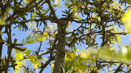 P1400043.JPG