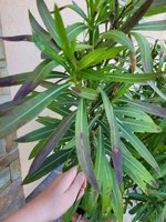 20230613_172658.jpg