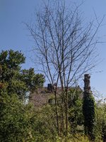 image_001.jpg