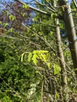 image_007.webp