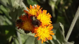 DSCF2986.webp